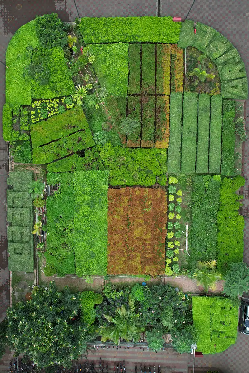 Company achievements curved into bushes