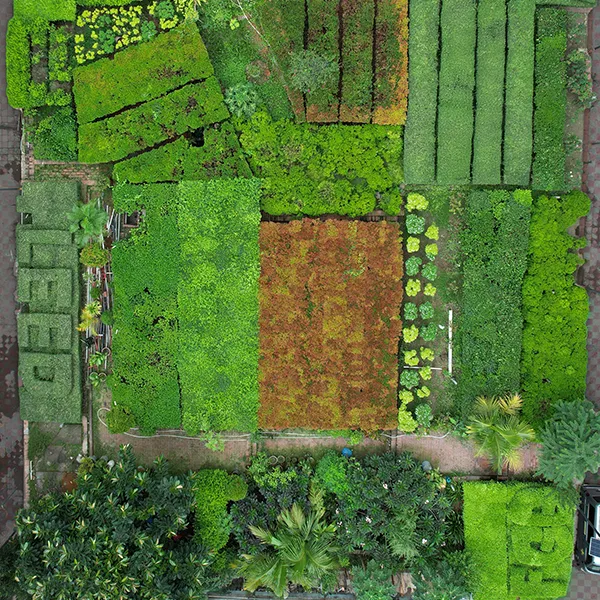 Sustainable achievements curved on bush