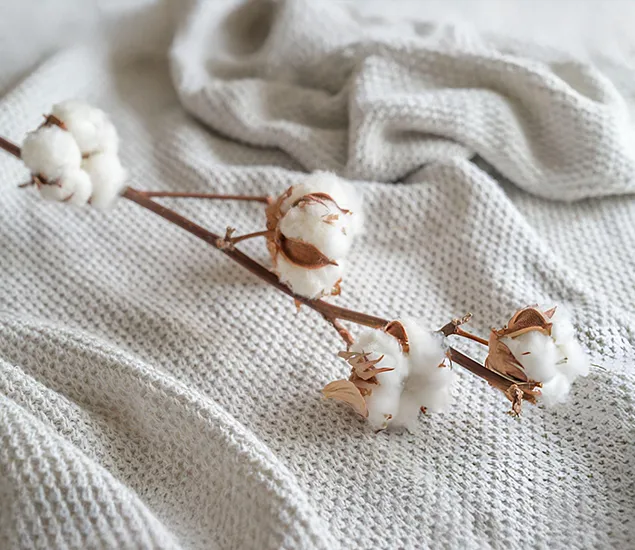 Sustainable Cotton
